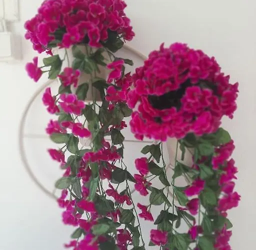 بيت للعطل Faro Del Mar *